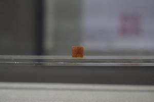 赵古泥刻石章