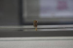 赵古泥刻石章