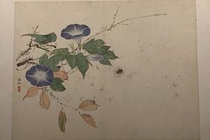 花卉蔬果册（六开）-牵牛蛛网图页