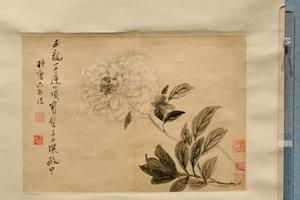 牡丹图轴