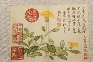 花卉册（八开选一开）