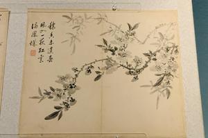 花卉册（十开选六开）