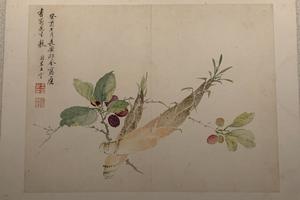 花卉蔬果册（六开）-竹笋桑葚图页