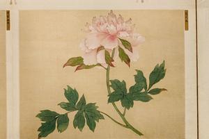 牡丹谱册（一百开选二十开）
