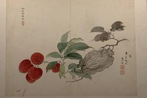 花卉蔬果册（六开）-佛手荔枝图页