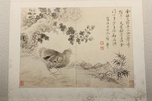 山水花鸟书法册（十开）