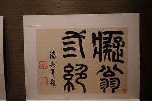 史忠杂画册