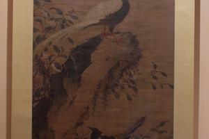 山茶白羽图轴