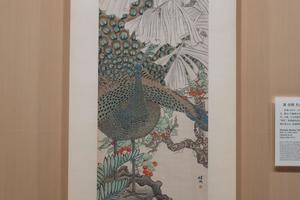 孔雀蕉石图轴