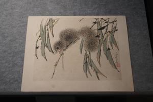 花鸟水族图