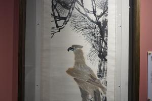 松鹰图