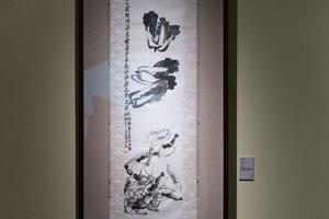 白菜和虾
