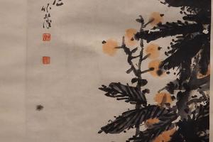 枇杷图