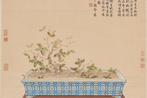 海西知时草