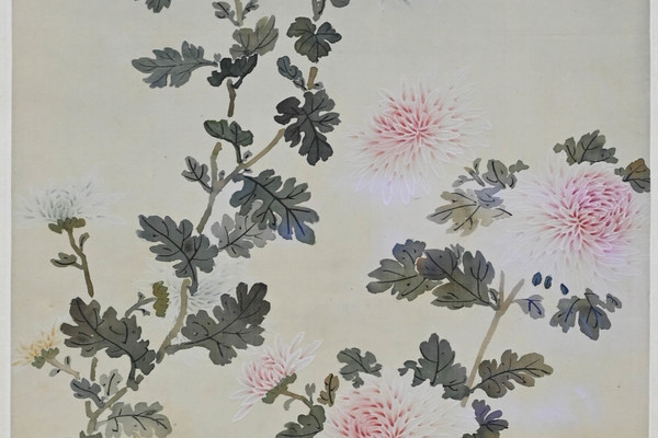 菊
